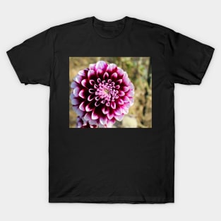 Maroon Petals T-Shirt